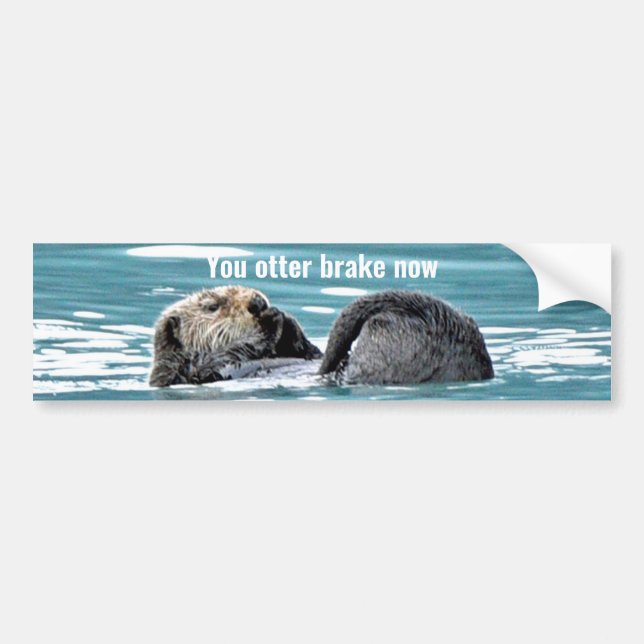 Bumper Sticker of otter (Front)