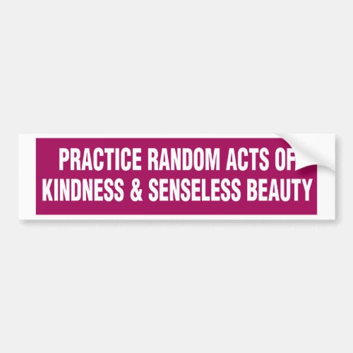 Bumper Sticker _ Practice Random Acts of Kindness