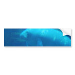 Bumper Sticker Template - Customized