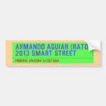 armando aguiar (Rato)  2013 smart street  Bumper Stickers