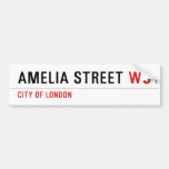Amelia street  Bumper Stickers