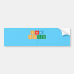 Chem
 South
   Bumper Stickers