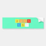 bonne
 fete!  Bumper Stickers