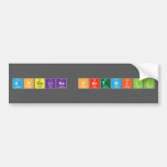 Angelina Hartwill  Bumper Stickers