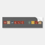 mohammad erfan  Bumper Stickers