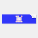 ITS A
 POWER
 PLAY
 GOAL!  Bumper Stickers
