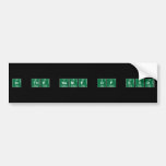 In the name of god  Bumper Stickers