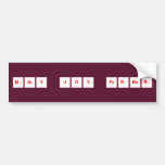 mary joy ferrer  Bumper Stickers