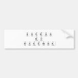 SORDUN 
 MU
 ARKADASINA  Bumper Stickers