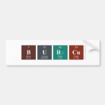 Burcu  Bumper Stickers