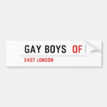 Gay boys   Bumper Stickers