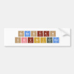 Sebastian
 Salvatierra  Bumper Stickers