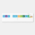 FELIZ CUMPLEANOS
   Bumper Stickers
