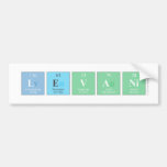 levani  Bumper Stickers