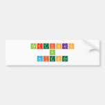 Portfolio 
 in 
 SCIENCE  Bumper Stickers