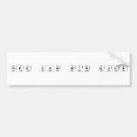 Free Chat with Girls   Bumper Stickers