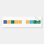 Benton Otieno  Bumper Stickers