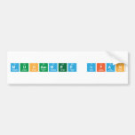Muhammed Irfan  Bumper Stickers