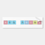 N|erdy princ|ess  Bumper Stickers