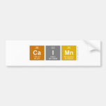 Caimn  Bumper Stickers