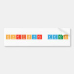 Christine adams  Bumper Stickers