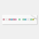 Néstor y Verónica   Bumper Stickers