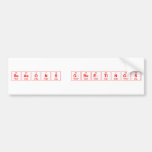 Seasons Greetings  Bumper Stickers