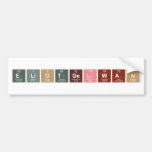 EliotGelwan  Bumper Stickers