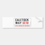 caletock  way  Bumper Stickers