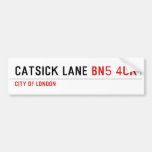 Catsick Lane  Bumper Stickers