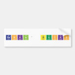 Bankin' BuckS  Bumper Stickers