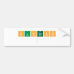 success
   Bumper Stickers