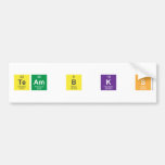 Team B K S   Bumper Stickers
