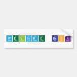 Welcome Back  Bumper Stickers