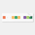 Füsun Kale   Bumper Stickers