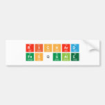 Richard
 Pasquale  Bumper Stickers