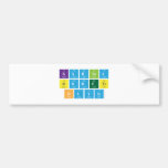 KADINA 
 SIDDETE 
 HAYIR  Bumper Stickers