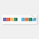 carpe diem  Bumper Stickers