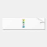 Be
 Rn
 I
 E  Bumper Stickers