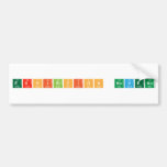 exhibicion noveno  Bumper Stickers