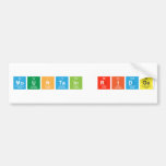 Mountain Ridge  Bumper Stickers