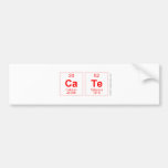 cate  Bumper Stickers