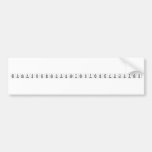 Noobepsteinwashungdiesbypowerfulvoices  Bumper Stickers