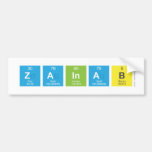 zainab  Bumper Stickers