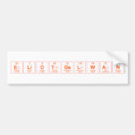 EliotGelwan  Bumper Stickers