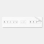 Science is Fun!  Bumper Stickers