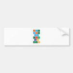 fire
 water
 air
 earth
 ben
 dylan  Bumper Stickers