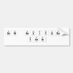 Seni seviyorum 
 Yasin   Bumper Stickers