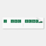 I Hate NIGGERS
   Bumper Stickers