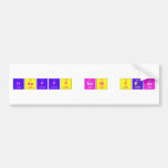 Happy new year  Bumper Stickers